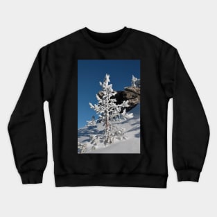 Snow covered Coniferous tree on a hill in winter season. Crewneck Sweatshirt